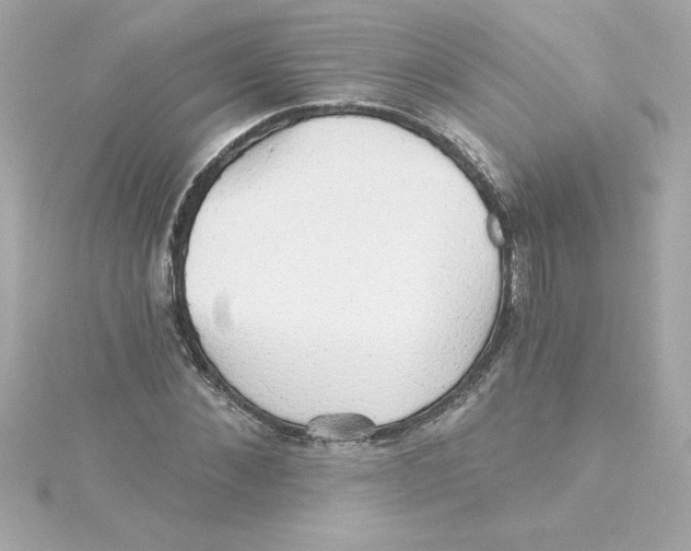 X0000115270876200911271943