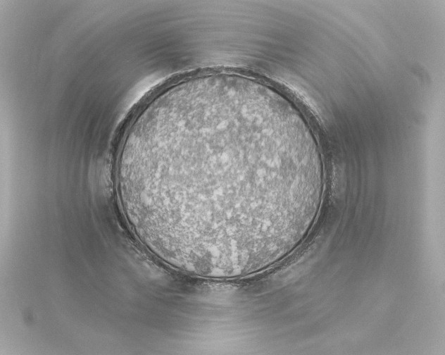 X0000115270878200911271943