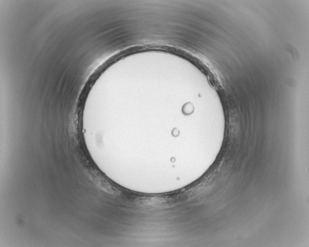 X0000115270879200911271943