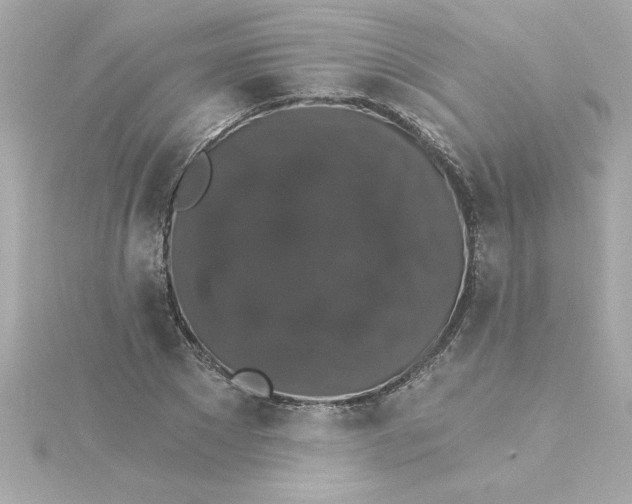 X0000115270881200911271943