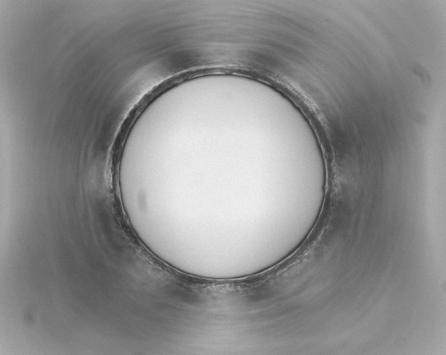 X0000115270883200911271943