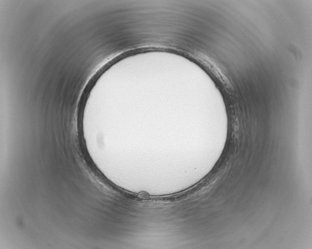 X0000115270884200911271943