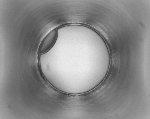 X0000115270885200911271943