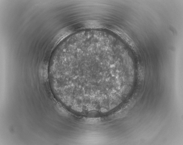 X0000115270889200911271943