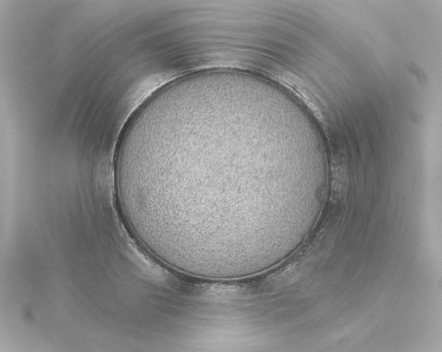 X0000115270890200911271943