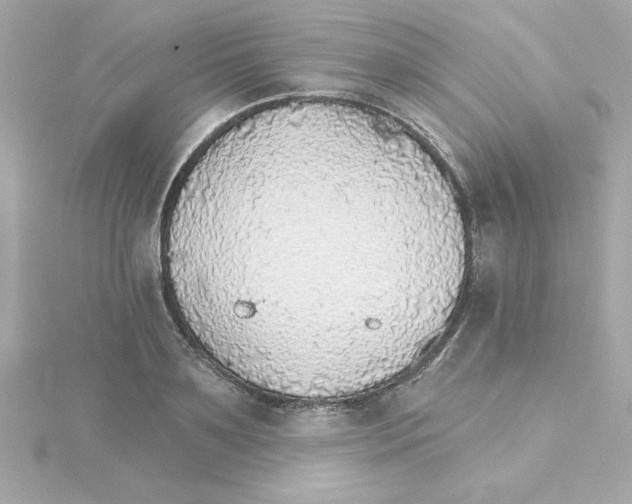 X0000115270891200911271943