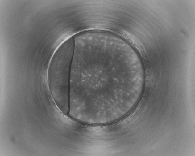 X0000115270892200911271943