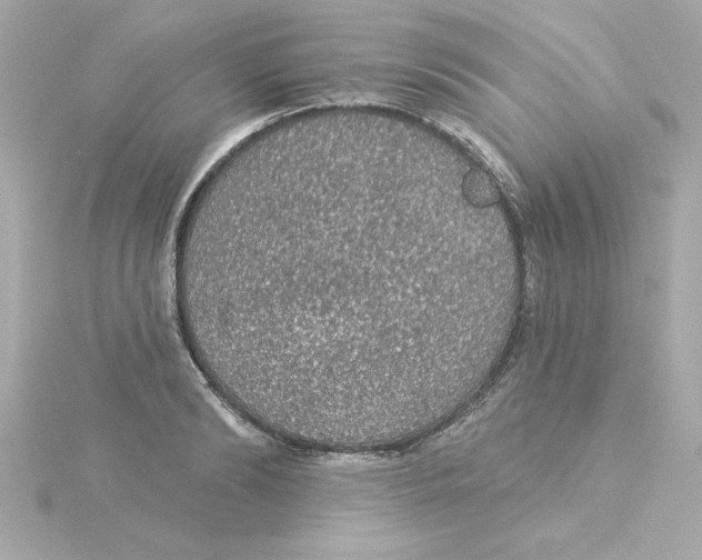 X0000115270894200911271943