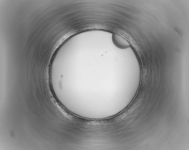 X0000115270898200911271943