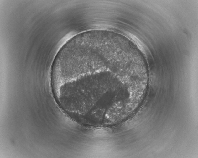 X0000115270899200911271943