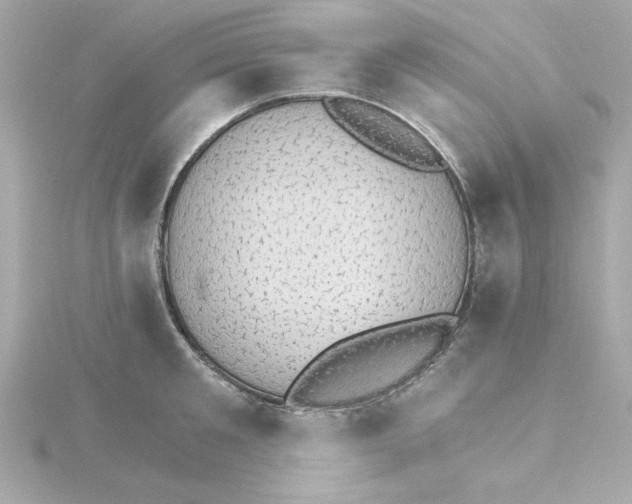 X0000115270901200911271943