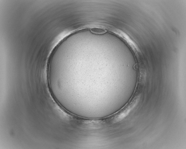 X0000115270902200911271943