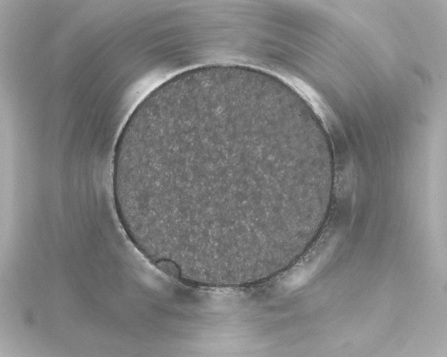 X0000115270903200911271943