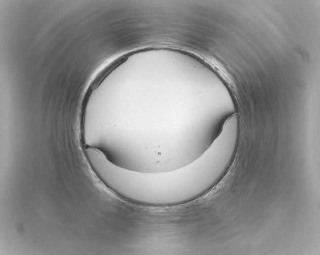 X0000115270904200911271943