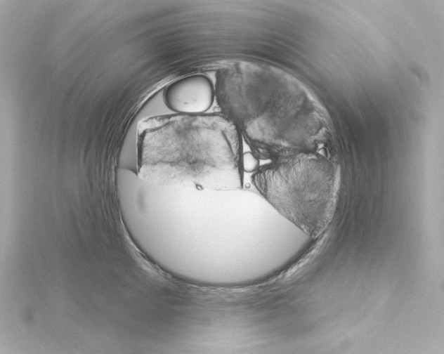 X0000115270905200911271943