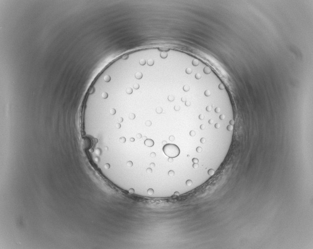 X0000115270907200911271943