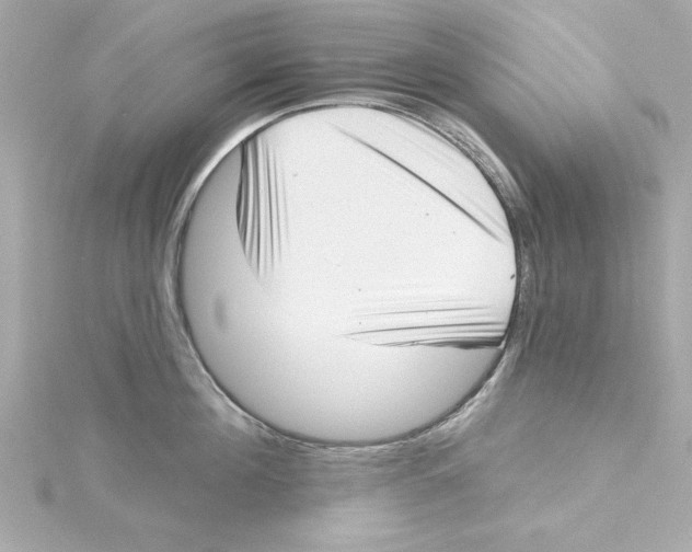 X0000115270908200911271943