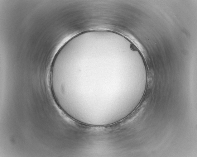 X0000115270909200911271943