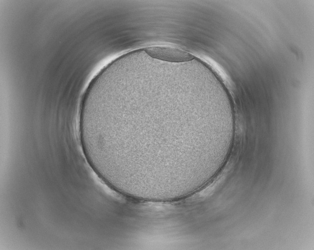 X0000115270910200911271943