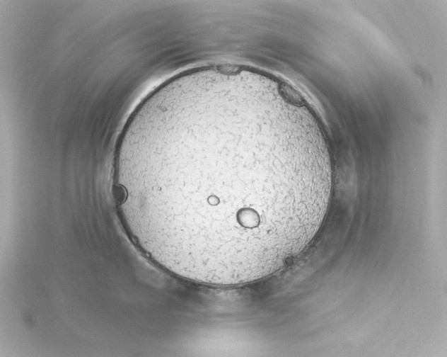 X0000115270911200911271943