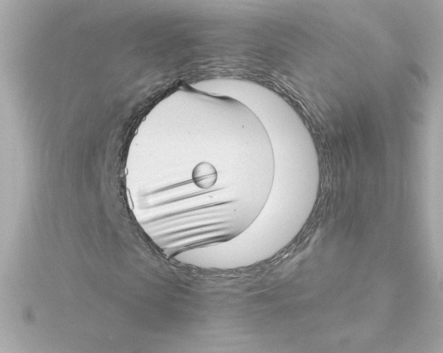 X0000115270913200911271942