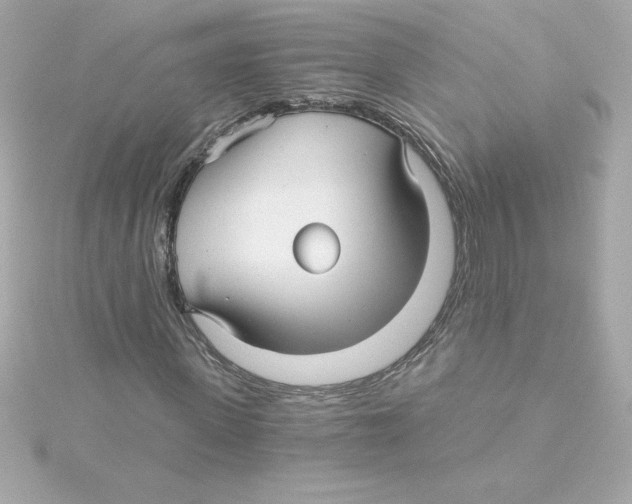 X0000115270915200911271942