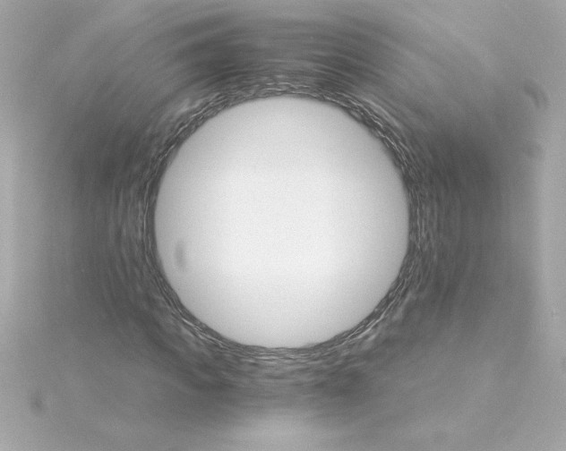 X0000115270917200911271942