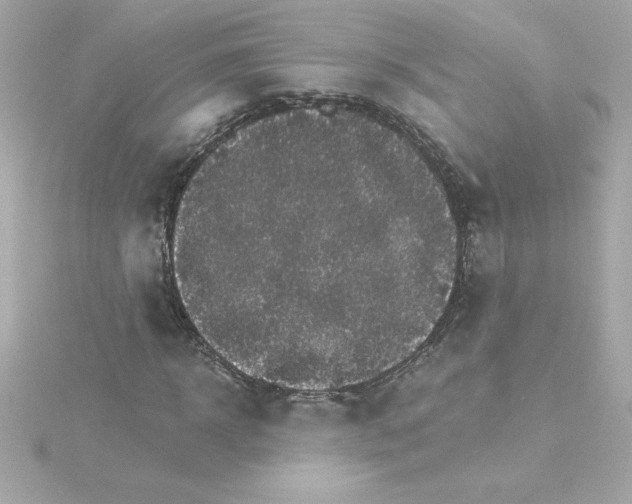 X0000115270918200911271942