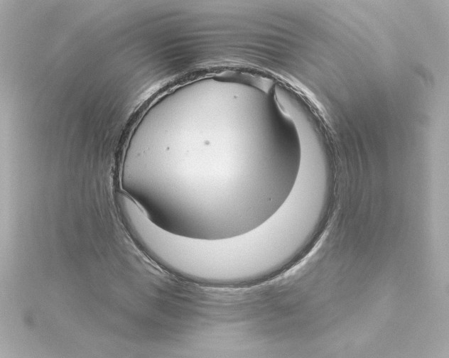 X0000115270921200911271942