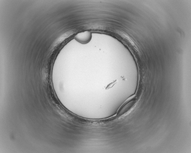 X0000115270922200911271942