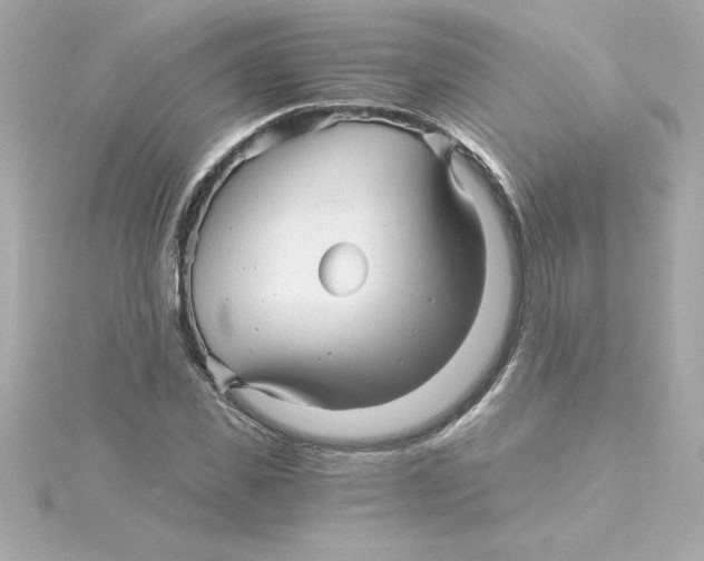 X0000115270925200911271942