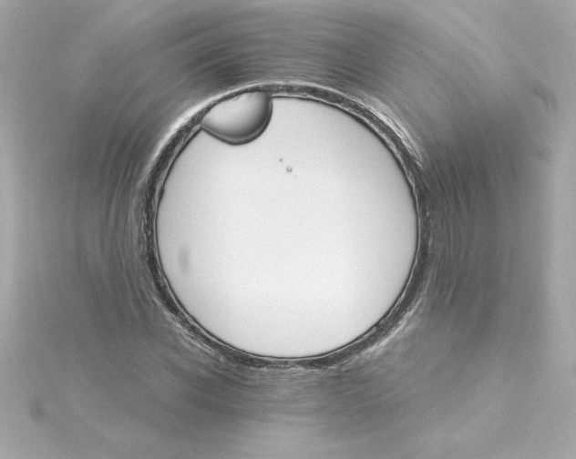 X0000115270926200911271942