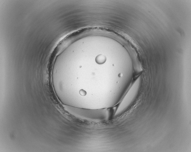 X0000115270927200911271942