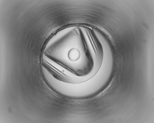 X0000115270929200911271942