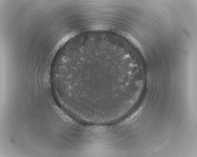 X0000115270930200911271942