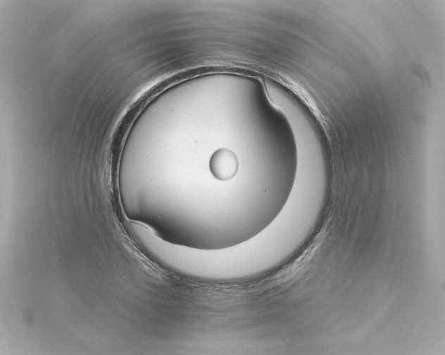 X0000115270931200911271942