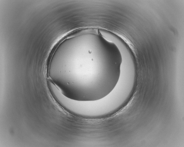 X0000115270933200911271942