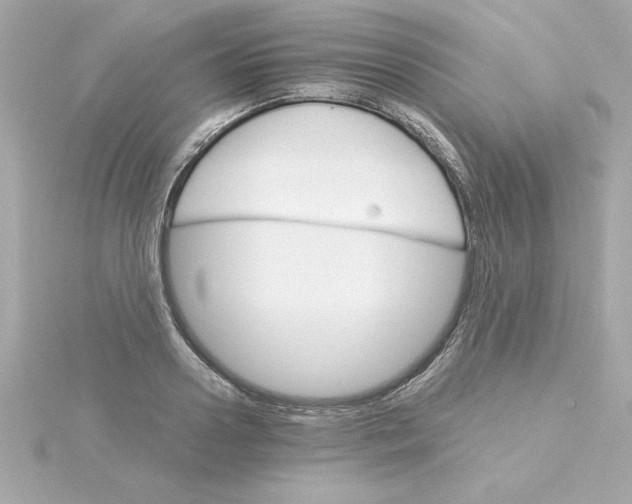 X0000115270938200911271943