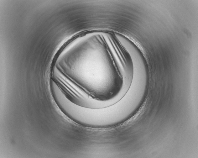 X0000115270941200911271943