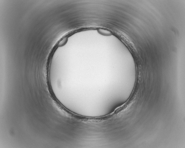 X0000115270942200911271943