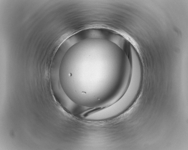 X0000115270953200911271943