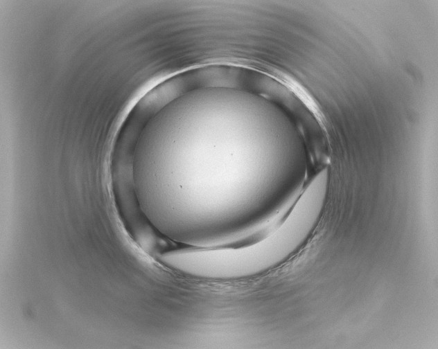 X0000115270955200911271943