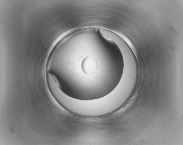 X0000115270957200911271943