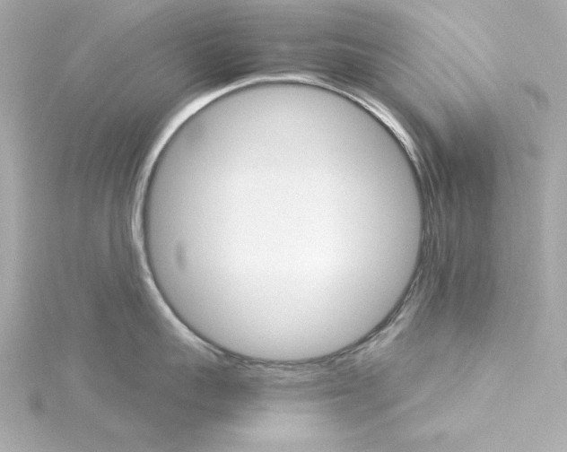 X0000115270959200911271943