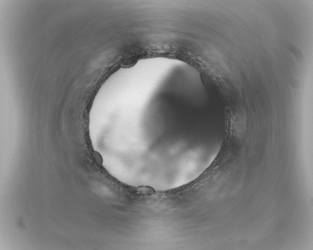 X0000115270961200911271942