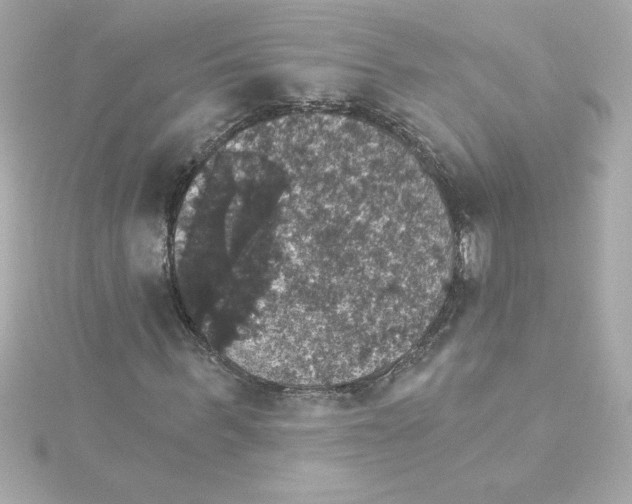 X0000115270963200911271942