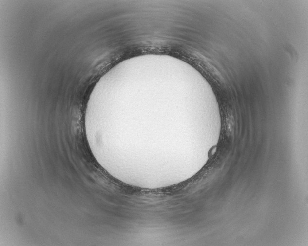 X0000115270964200911271942