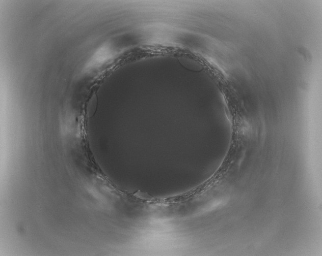 X0000115270965200911271942