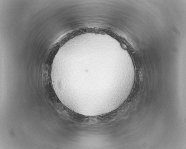 X0000115270968200911271942