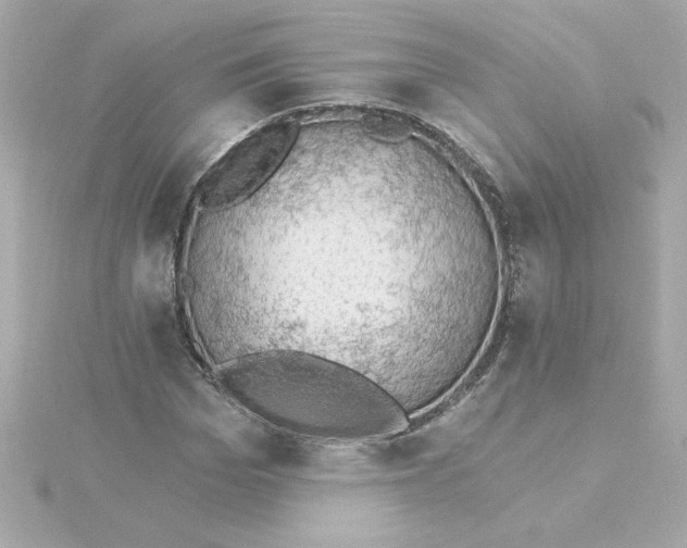 X0000115270969200911271942